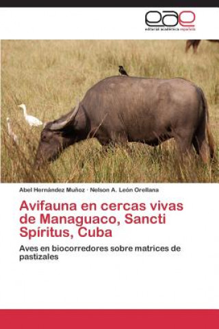 Kniha Avifauna en cercas vivas de Managuaco, Sancti Spiritus, Cuba Nelson A. León Orellana