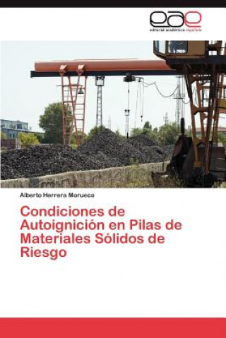 Kniha Condiciones de Autoignicion En Pilas de Materiales Solidos de Riesgo Alberto Herrera Morueco