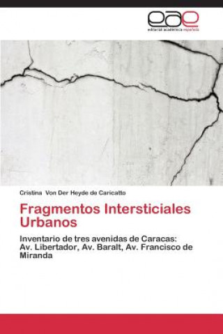 Könyv Fragmentos Intersticiales Urbanos Cristina von der Heyde de Caricatto
