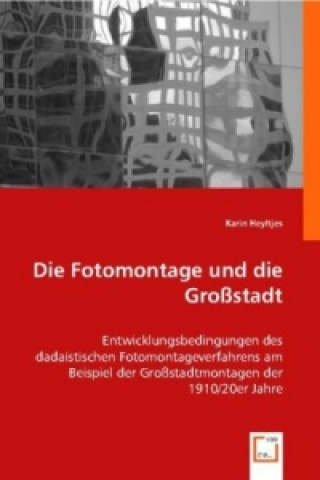 Könyv Die Fotomontage und die Großstadt Karin Heyltjes