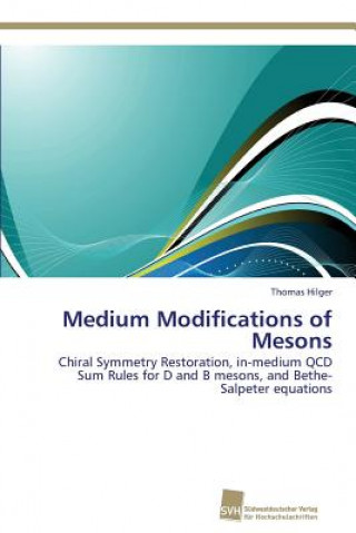 Kniha Medium Modifications of Mesons Thomas Hilger