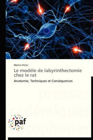 Knjiga Le Modele de Labyrinthectomie Chez Le Rat Martin Hitier