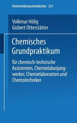 Kniha Chemisches Grundpraktikum Volkmar Hölig