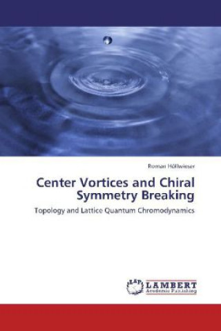 Kniha Center Vortices and Chiral Symmetry Breaking Roman Höllwieser