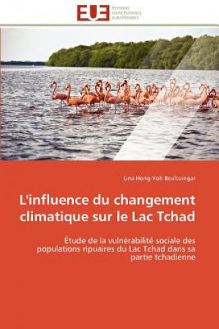 Carte L'Influence Du Changement Climatique Sur Le Lac Tchad Lina Hong-Yoh Beultoingar