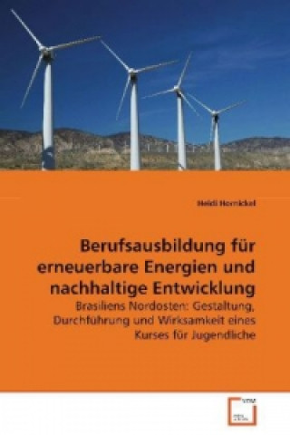 Buch Berufsausbildung für erneuerbare Energien undnachhaltige Entwicklung Heidi Hornickel