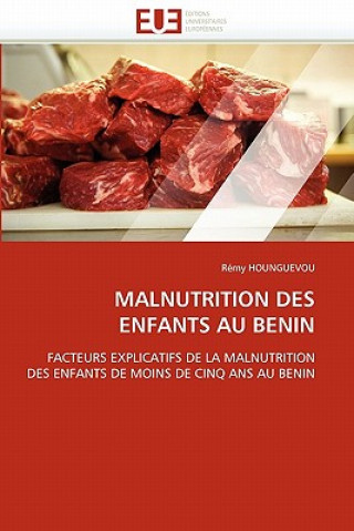 Könyv Malnutrition Des Enfants Au Benin Rémy Hounguevou