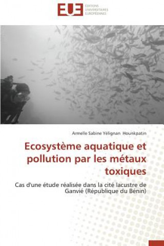 Carte Ecosyst me Aquatique Et Pollution Par Les M taux Toxiques Armelle Sabine Yélignan Hounkpatin