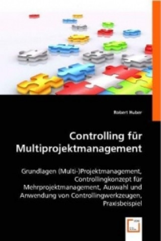 Könyv Controlling für Multiprojektmanagement Robert Huber