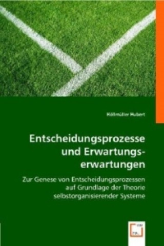 Book Entscheidungsprozesse und Erwartungserwartungen Höllmüller Hubert