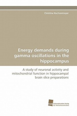 Carte Energy demands during gamma oscillations in the hippocampus Christine Huchzermeyer