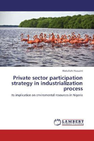 Carte Private sector participation strategy in industrialization process Abdullahi Hussaini