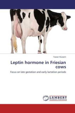 Könyv Leptin hormone in Friesian cows Yasser Hussein
