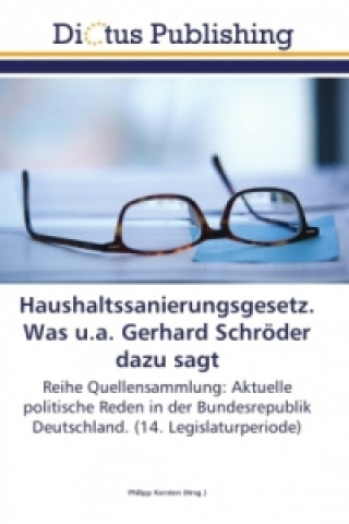 Buch Haushaltssanierungsgesetz. Was u.a. Gerhard Schröder dazu sagt Philipp Kersten