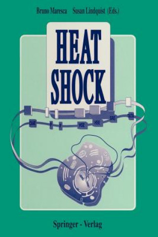 Knjiga Heat Shock Susan Lindquist