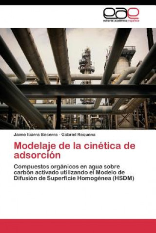 Könyv Modelaje de la cinetica de adsorcion Jaime Ibarra Becerra