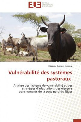 Könyv Vuln rabilit  Des Syst mes Pastoraux Illiassou Ibrahim Ibrahim