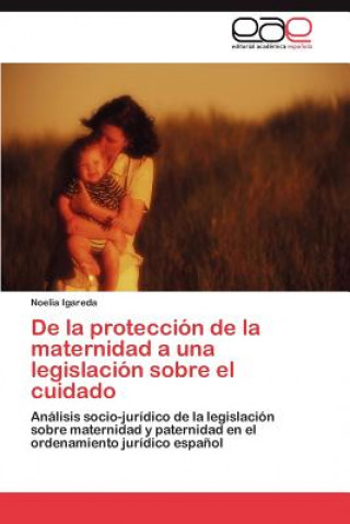 Knjiga De la proteccion de la maternidad a una legislacion sobre el cuidado Noelia Igareda