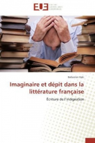 Buch Imaginaire et dépit dans la littérature française Bellarmin Iloki