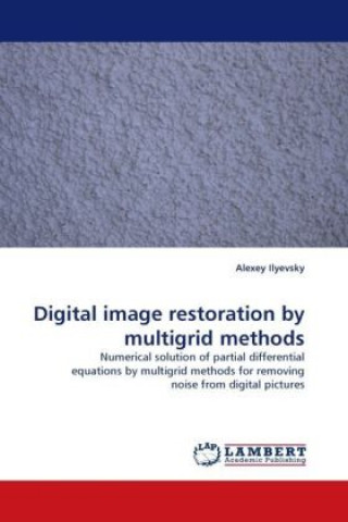 Könyv Digital image restoration by multigrid methods Alexey Ilyevsky