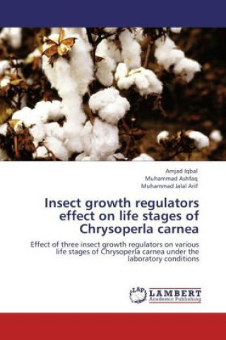 Kniha Insect growth regulators effect on life stages of Chrysoperla carnea Amjad Iqbal