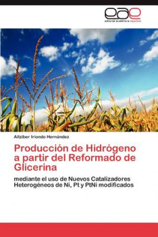 Kniha Produccion de Hidrogeno a partir del Reformado de Glicerina Aitziber Iriondo Hernández