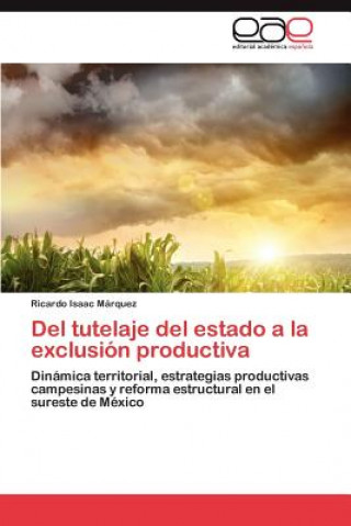 Buch Del tutelaje del estado a la exclusion productiva Ricardo Isaac Márquez