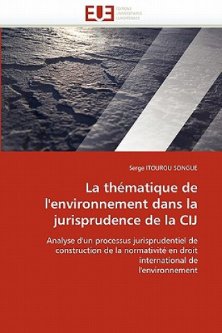 Książka thematique de l'environnement dans la jurisprudence de la cij Serge Itourou Songue