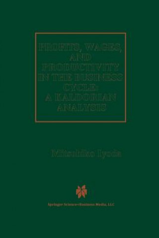 Książka Profits, Wages and Productivity in the Business Cycle Mitsuhiko Iyoda