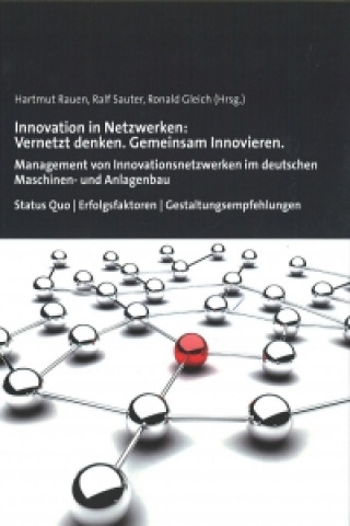 Kniha Innovation in Netzwerken: Vernetzt denken. Gemeinsam Innovieren. Hartmut Rauen