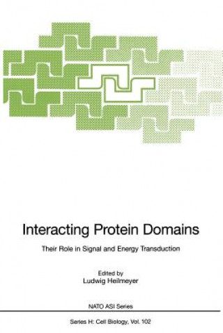 Βιβλίο Interacting Protein Domains Ludwig Heilmeyer