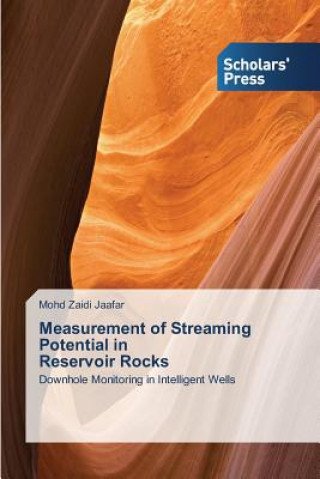 Kniha Measurement of Streaming Potential in Reservoir Rocks Mohd Zaidi Jaafar