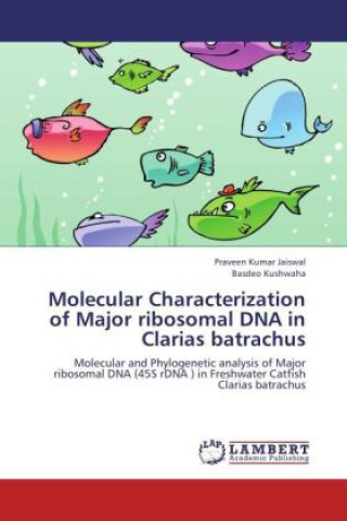 Buch Molecular Characterization of Major ribosomal DNA in Clarias batrachus Praveen Kumar Jaiswal