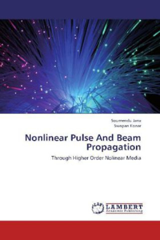 Kniha Nonlinear Pulse And Beam Propagation Soumendu Jana