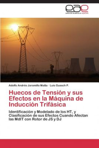 Carte Huecos de Tension y sus Efectos en la Maquina de Induccion Trifasica Adolfo Andrés Jaramillo Matta