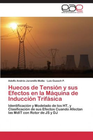 Kniha Huecos de Tension y sus Efectos en la Maquina de Induccion Trifasica Adolfo Andrés Jaramillo Matta