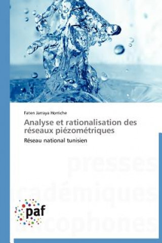 Carte Analyse Et Rationalisation Des Reseaux Piezometriques Faten Jarraya Horriche