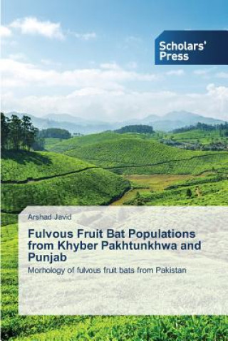 Kniha Fulvous Fruit Bat Populations from Khyber Pakhtunkhwa and Punjab Arshad Javid