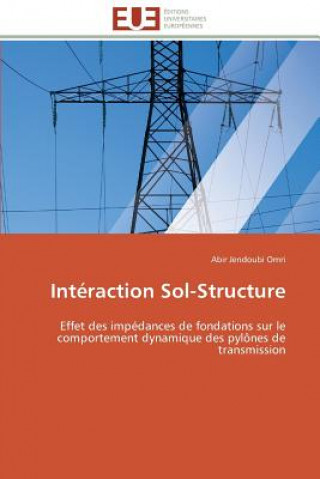 Knjiga Int raction Sol-Structure Abir Jendoubi Omri