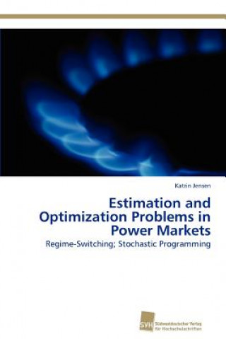 Kniha Estimation and Optimization Problems in Power Markets Katrin Jensen