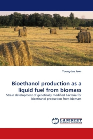 Könyv Bioethanol production as a liquid fuel from biomass Young-Jae Jeon