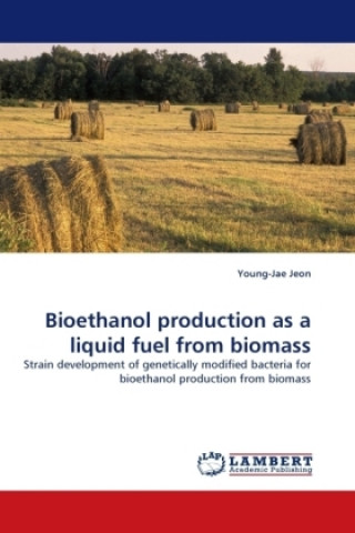 Kniha Bioethanol production as a liquid fuel from biomass Young-Jae Jeon