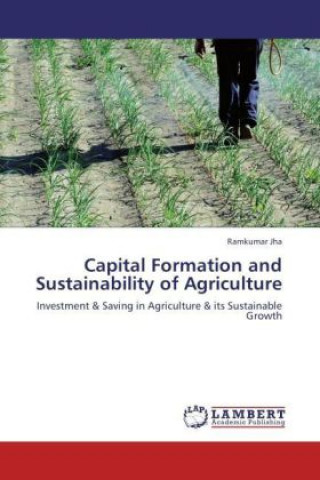 Kniha Capital Formation and Sustainability of Agriculture Ramkumar Jha