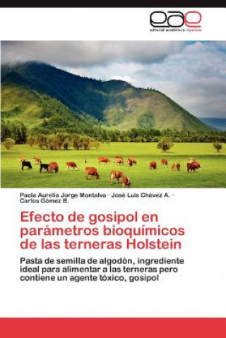 Książka Efecto de Gosipol En Parametros Bioquimicos de Las Terneras Holstein Paola Aurelia Jorge Montalvo