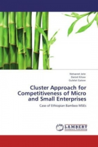 Carte Cluster Approach for Competitiveness of Micro and Small Enterprises Netsanet Jote