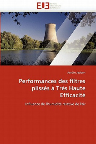 Kniha Performances Des Filtres Pliss s   Tr s Haute Efficacit Aurélie Joubert