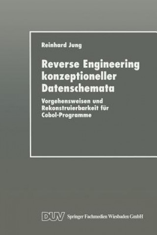 Buch Reverse Engineering Konzeptioneller Datenschemata Reinhard Jung