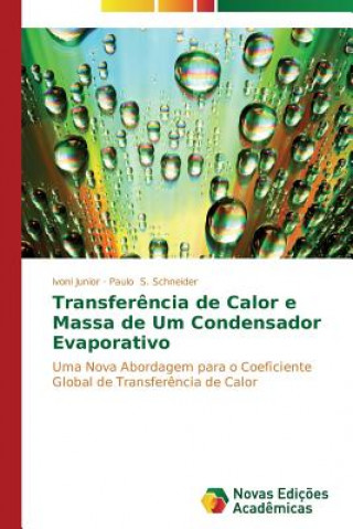 Книга Transferencia de Calor e Massa de Um Condensador Evaporativo Ivoni Junior