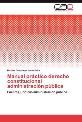 Kniha Manual practico derecho constitucional administracion publica Juraz Pena Nicolas Guadalupe
