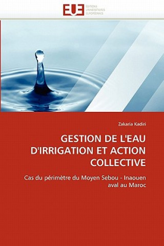 Książka Gestion de l''eau d''irrigation Et Action Collective Zakaria Kadiri